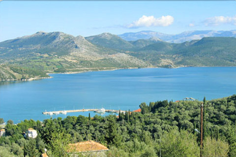 Haven Ligia
