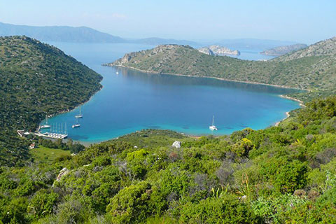 Dirsek baai
